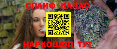 МДПВ Гагарин