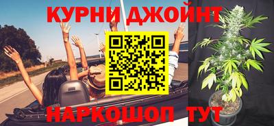 МДПВ Гагарин