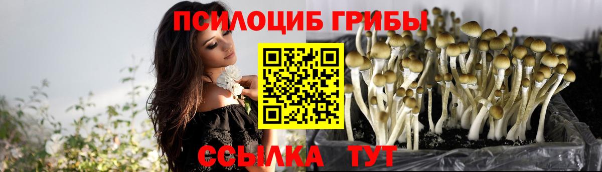Москва  Галлюциногенные грибы Magic Shrooms  Псилоцибиновые грибы Psilocybe  Вход с VPN 